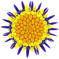 phyllotaxis model composite